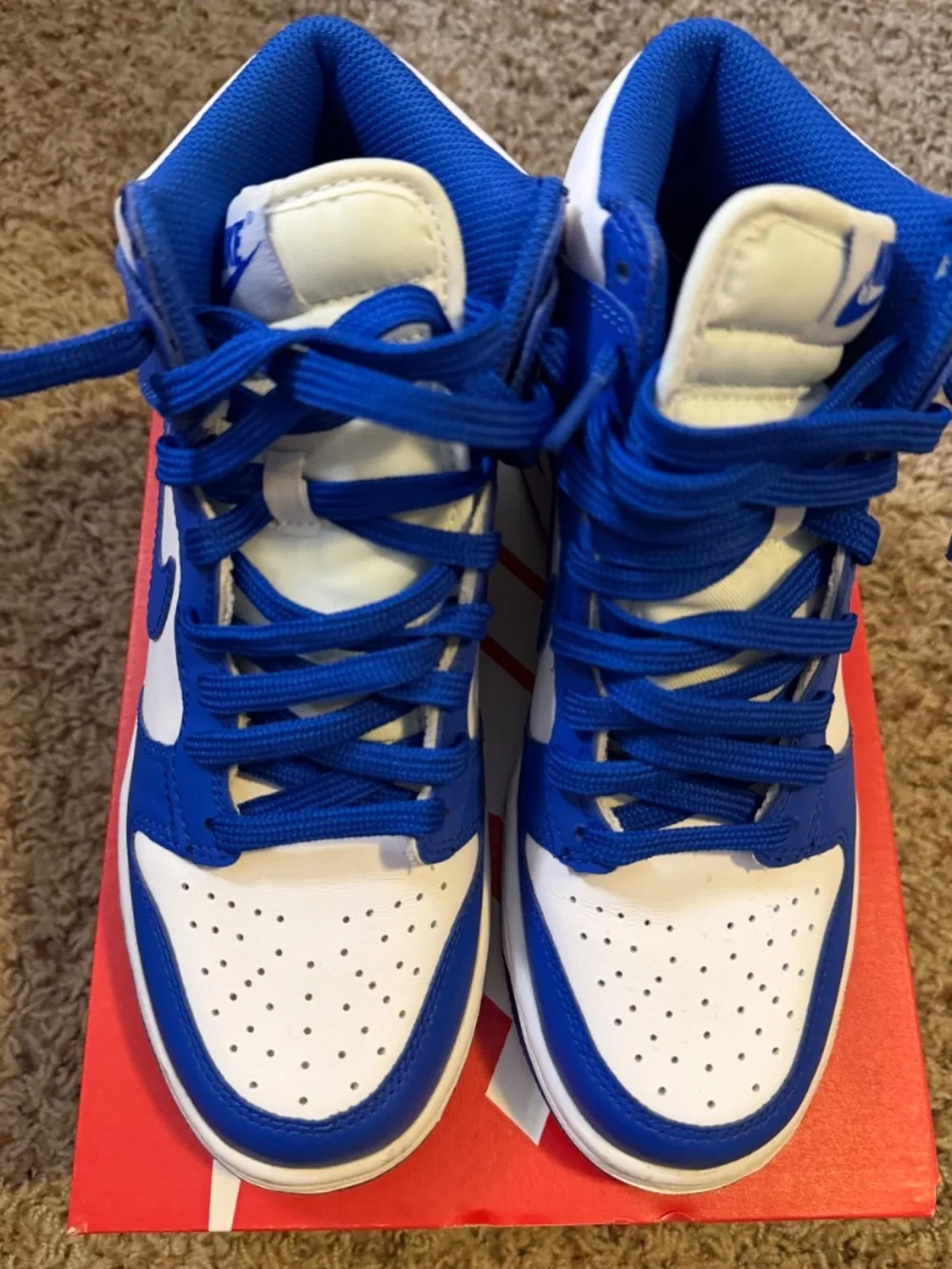 Big kids Nike dunk high